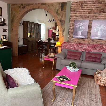 Loft Rural Apartment Tegueste Luaran gambar