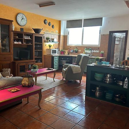 Loft Rural Apartment Tegueste Luaran gambar