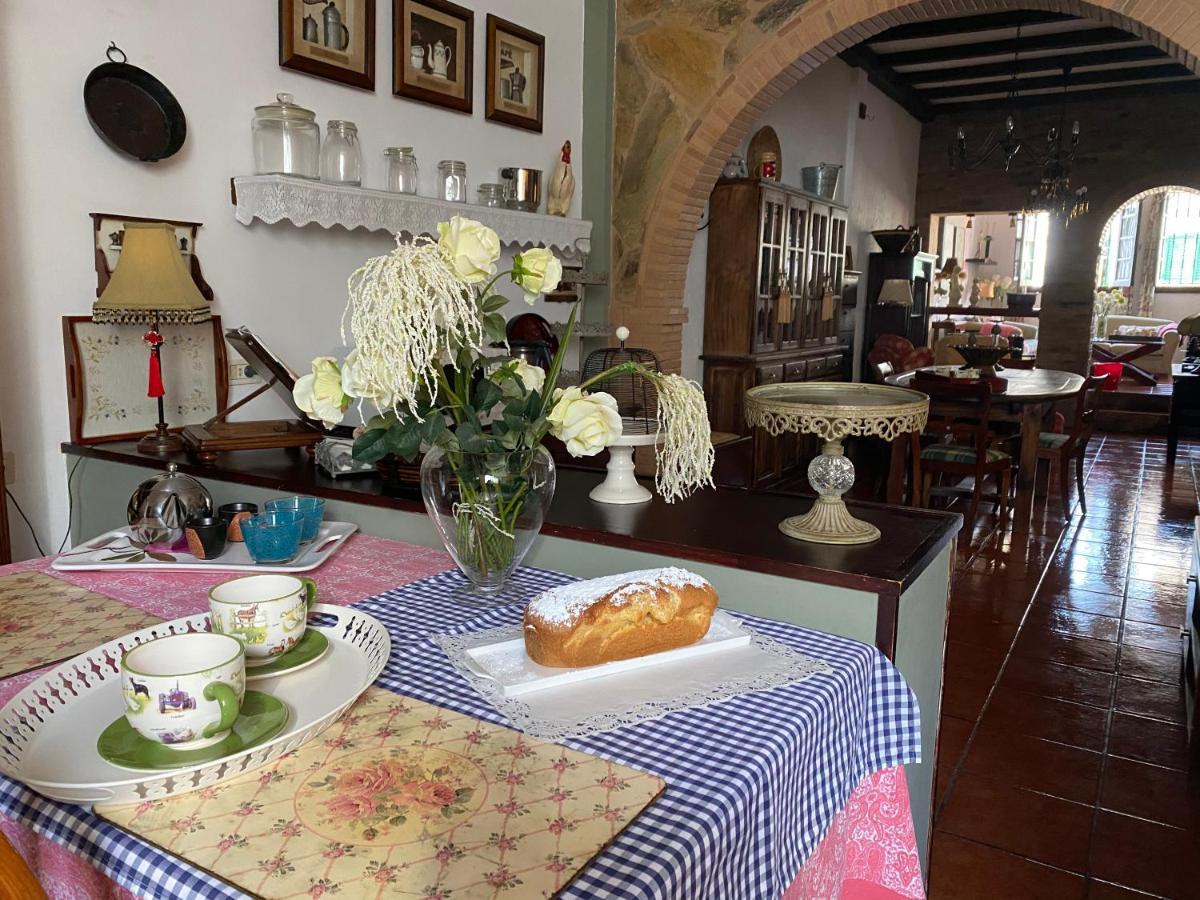 Loft Rural Apartment Tegueste Luaran gambar
